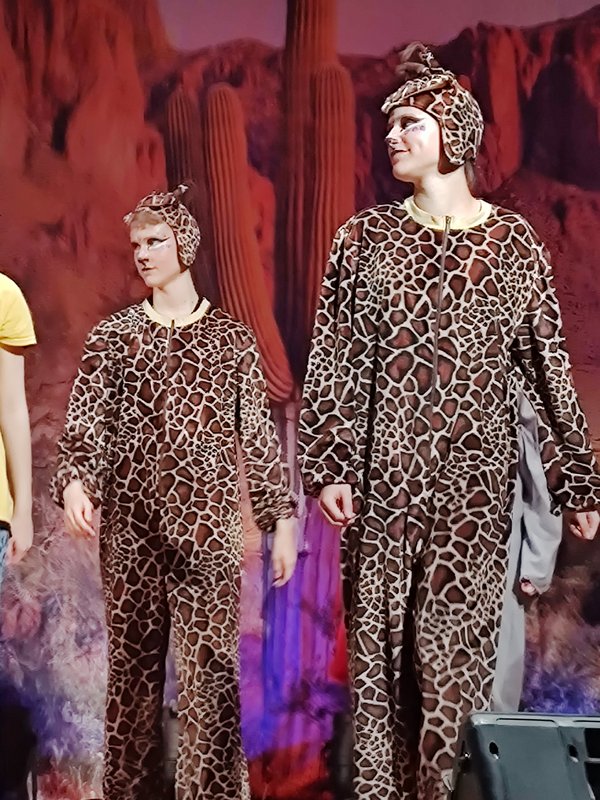 Der Löwenkönig