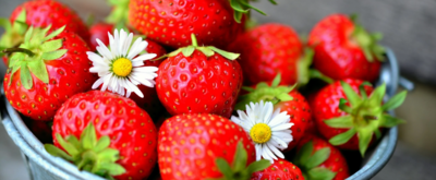 Erdbeeren